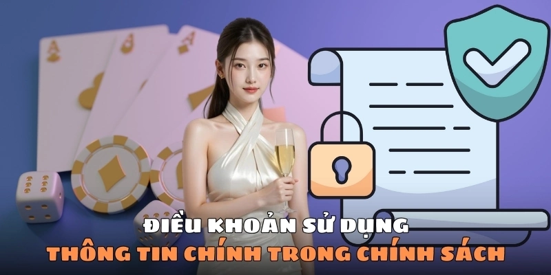 Tổng hợp thông tin chính trong chính sách điều khoản