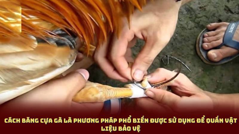 Cách băng cựa gà là phương pháp phổ biến được sử dụng để quấn vật liệu bảo vệ