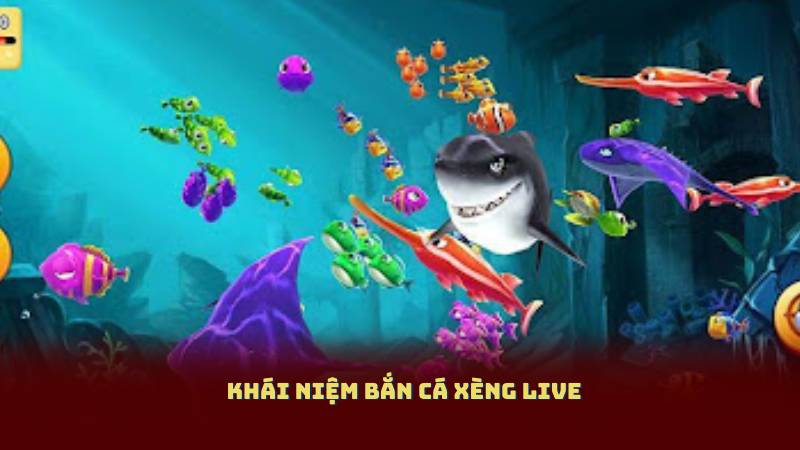 Khái niệm Bắn Cá Xèng Live